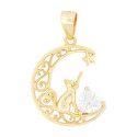 COLGANTE LUNA CON GATO TOCANDO ESTRELLA - CO3007CH