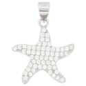 COLGANTE ESTRELLA DE MAR CZ - CO3018R COLGANTE ESTRELLA DE MAR CZ - CO3018R