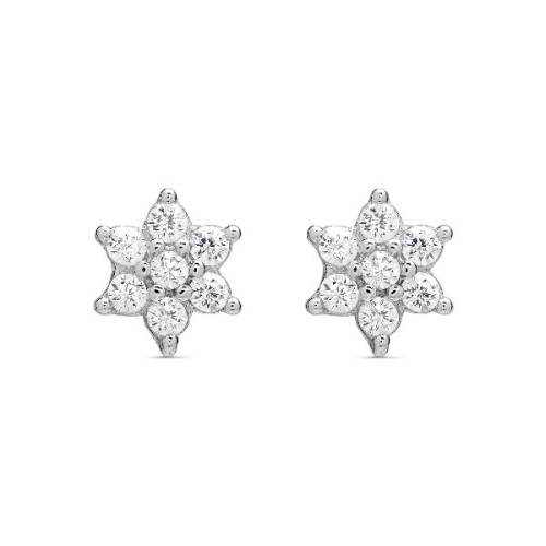 PENDIENTE FLOR 6 PETALOS - PE5866R