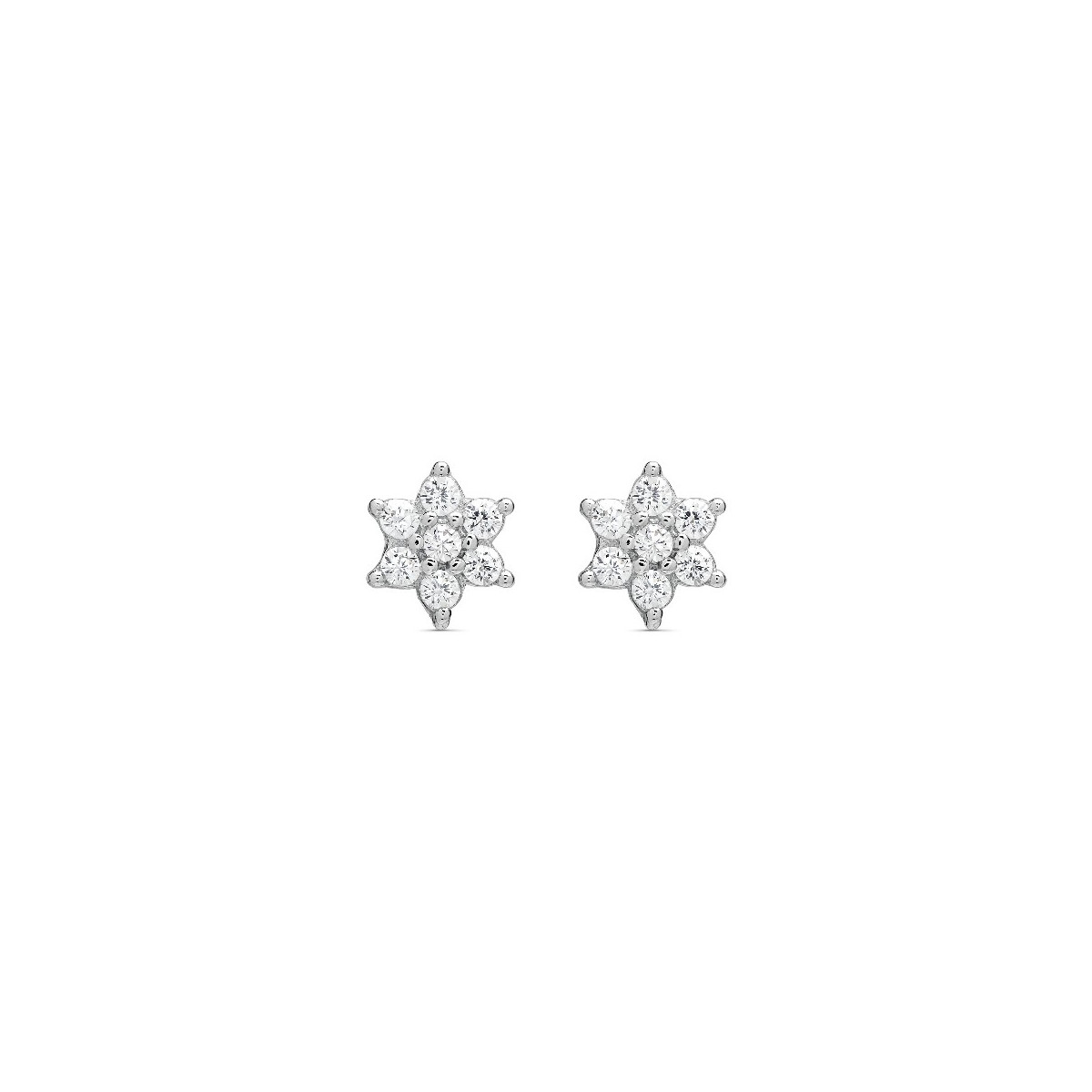 PENDIENTE FLOR 6 PETALOS - PE5866R