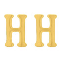 PENDIENTE INICIAL PRESION CH LETRA H - PE5708CH/H